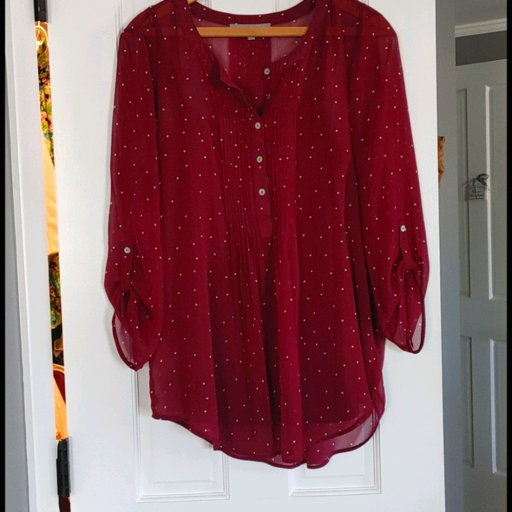 Daniel Rainn Stitch Fix polka dot blouse